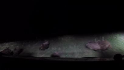 真正的狼灭：美国农场主一夜*击狙**45只郊狼，全套黑科技开挂了