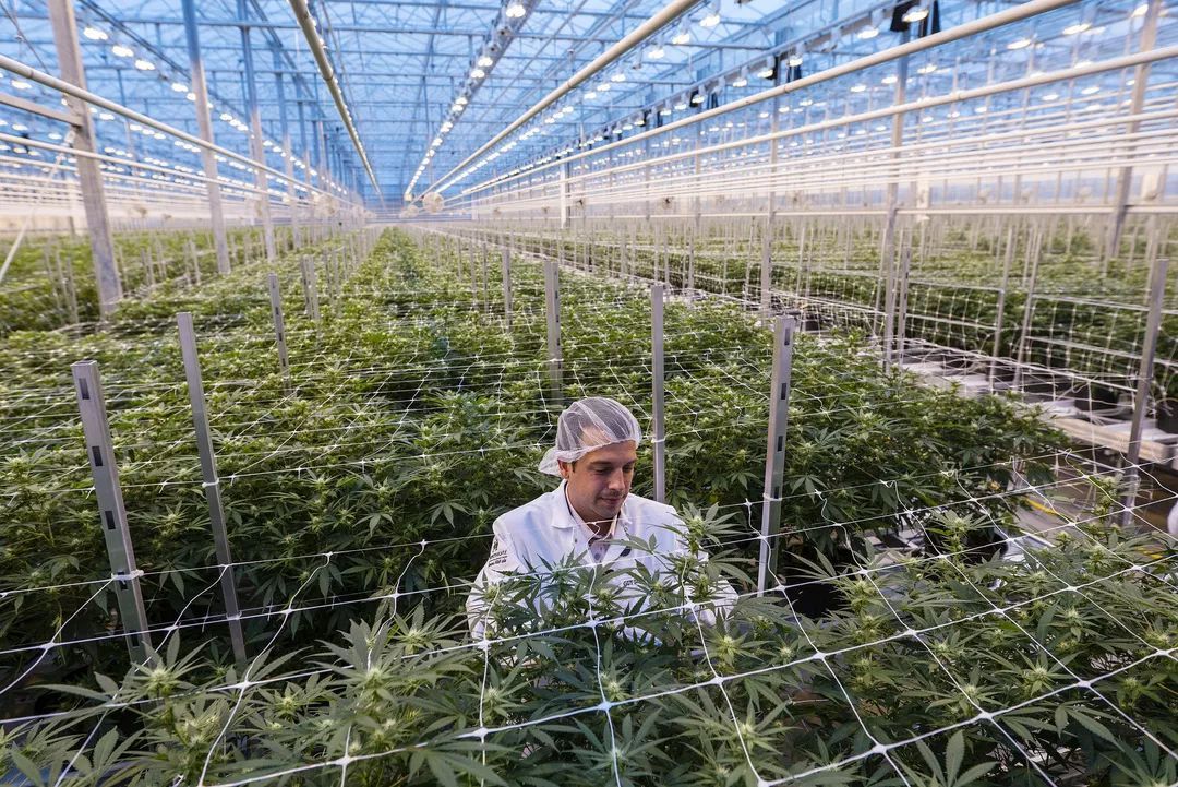 真正重要的只有自己,真正重要的永远是自己的内心