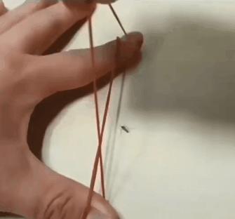 各种搞笑方法干掉蚊子,如何一次干掉100只蚊子