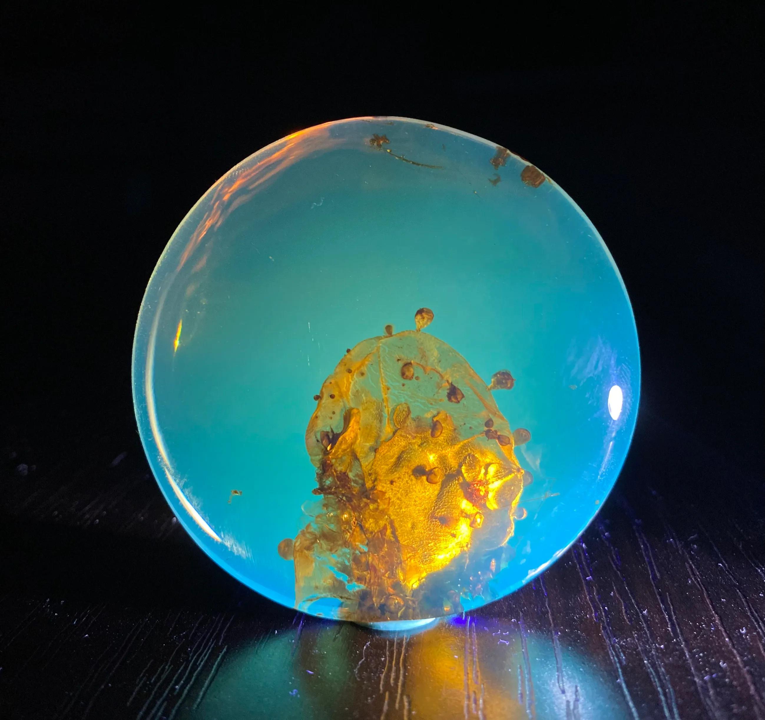 缅甸琥珀种类解析大全,缅甸琥珀全品类