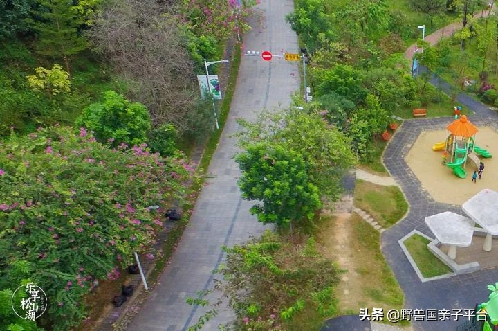 松山湖风景区松湖烟雨是哪个门,松山湖景区松湖烟雨有哪些好玩的
