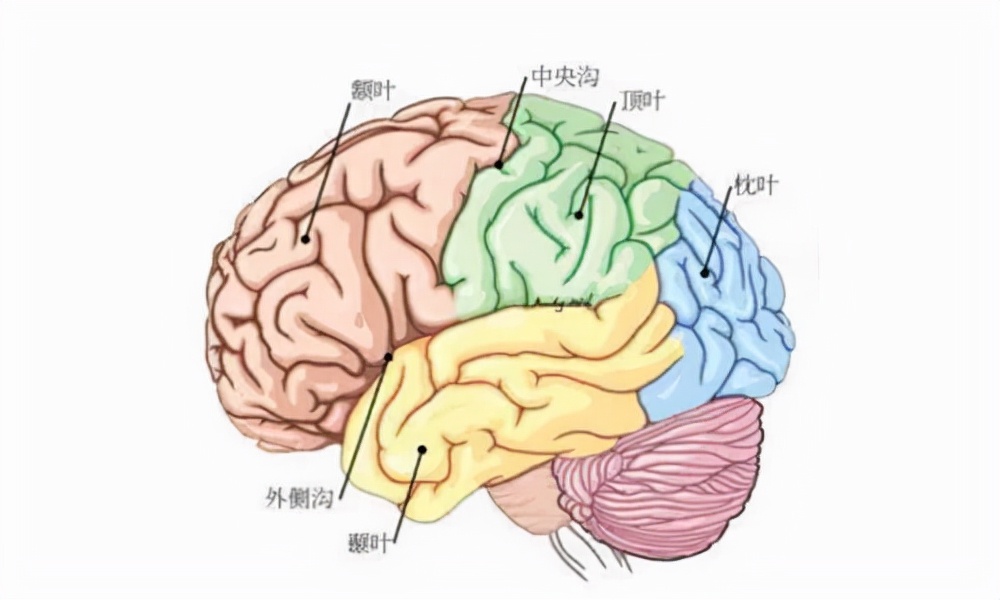 儿童每天睡醒后走神发呆是癫痫吗,孩子注意力不集中走神是不是癫痫