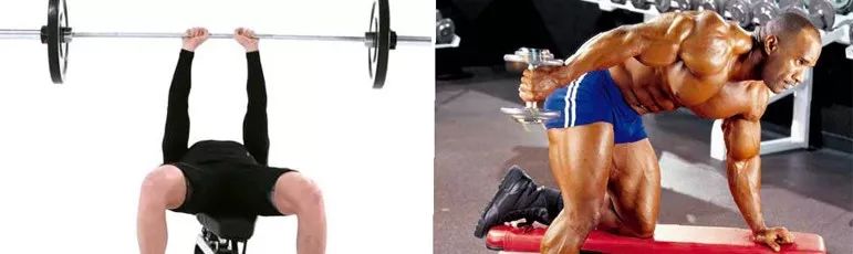 手臂哪些肌肉练了好看,手臂肌肉分析及训练方法