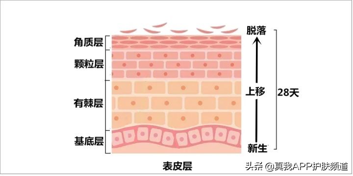 皮肤刷酸到底是什么意思,皮肤刷酸多久一次比较好