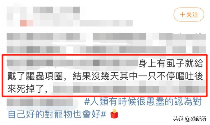 猫咪项圈对人有没有危害,猫咪项圈对猫咪有危害吗