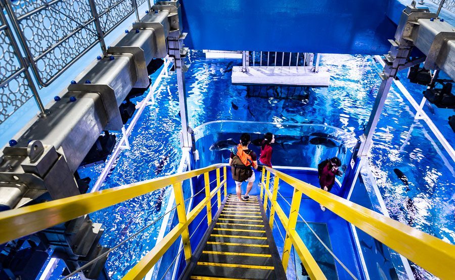 迪拜喷泉旅游攻略,迪拜水族馆游玩攻略