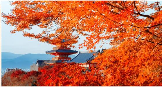 来到日本不能错过章鱼小丸子,来东京不能错过的地方