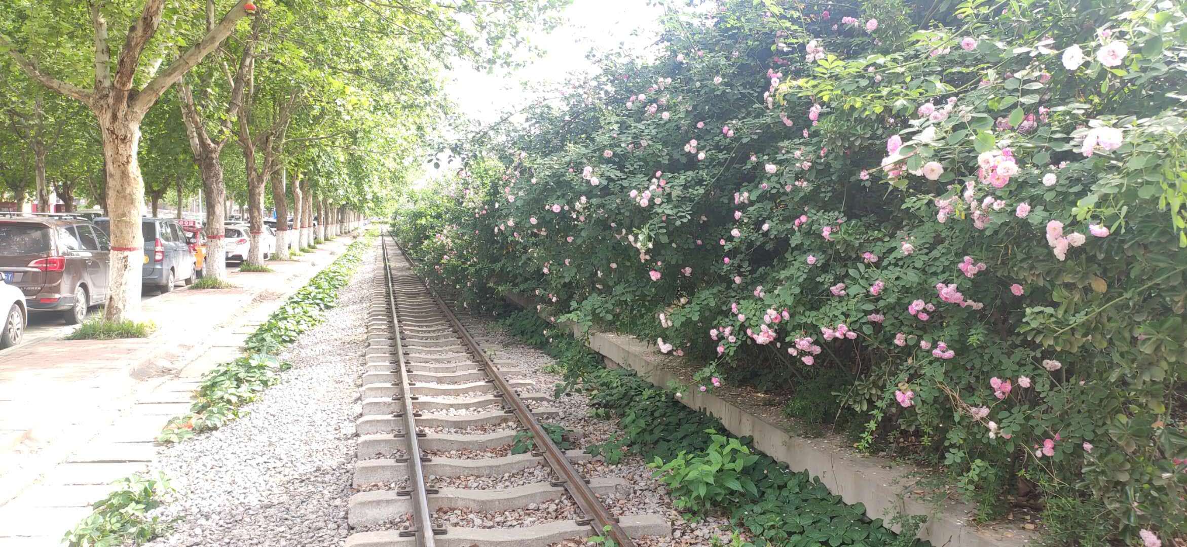 卓达*阳城太**要装天然气成熟的社区失败的企业令业主喟然叹息