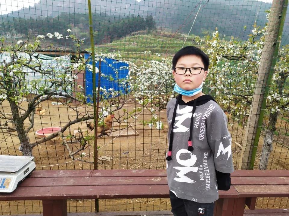 部编版四年级语文下册游记作文,四下语文第五单元游记