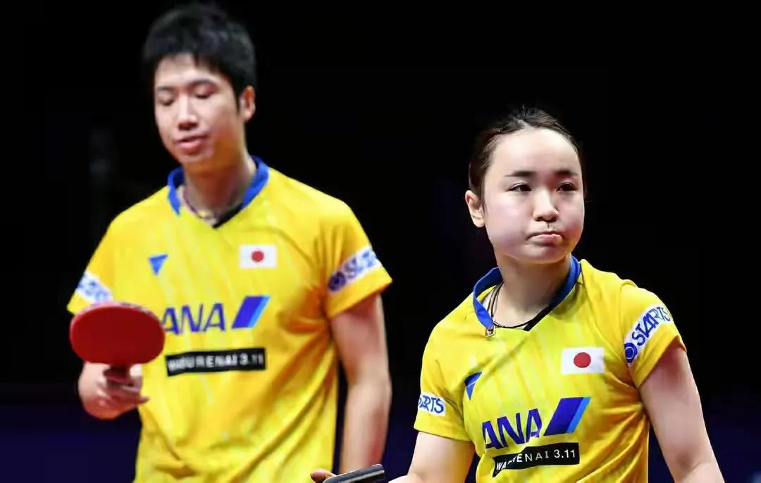 水谷隼退役又复出了吗,水谷隼退役了