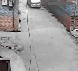 偷狗事件警方是如何提醒的,如何防范偷狗警方