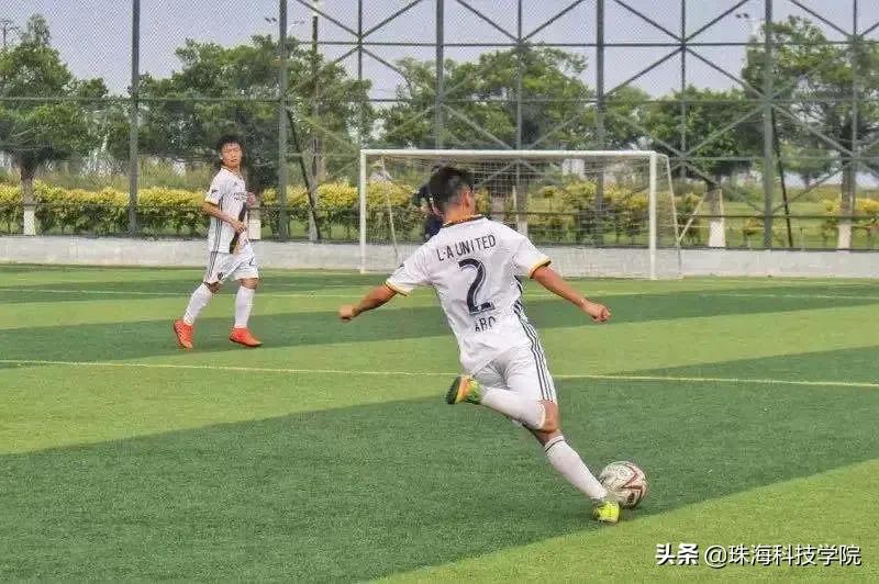 新生攻略校区介绍,新生竞技攻略