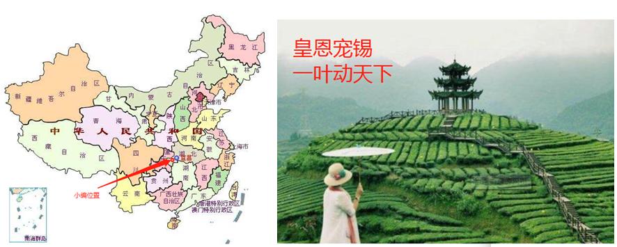 钓鱼窝料饵料知识讲解,窝料是钓鱼最好的饵料