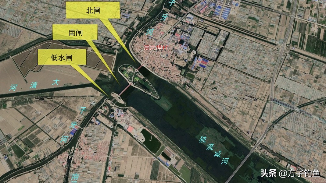 国家湿地候鸟保护区,黄河入海口处湿地候鸟迁徙路线