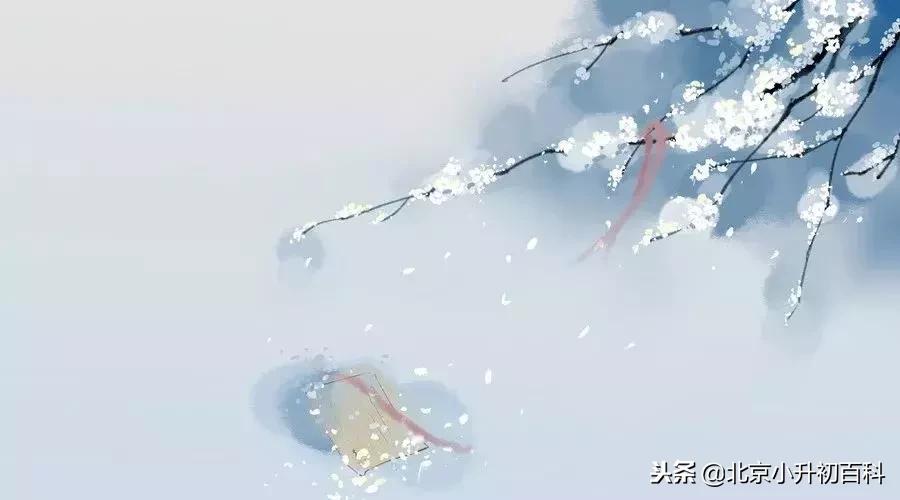 论语的30个成语典故助你修身养性,论语中暗藏的125个成语典故