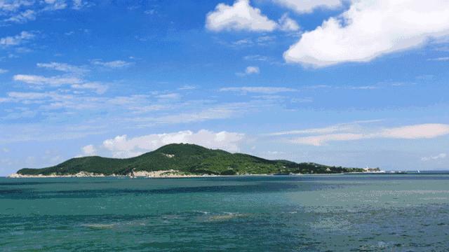 蚝凭“海”贵｜品尝生蚝犹如亲吻一片大海