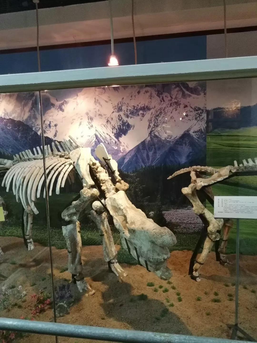 广州地铁3号线旅游攻略图,广州番禺广场地铁站旅游攻略