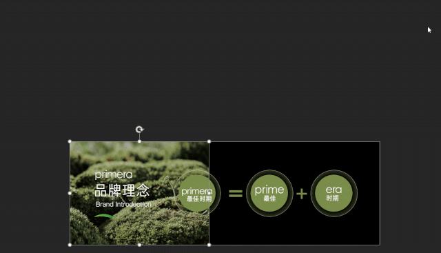 ppt图片处理技巧教程,ppt图片处理技巧大全集