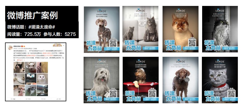 专访麦和黄振鹏:宠物网红品牌如何与线下市场共生?