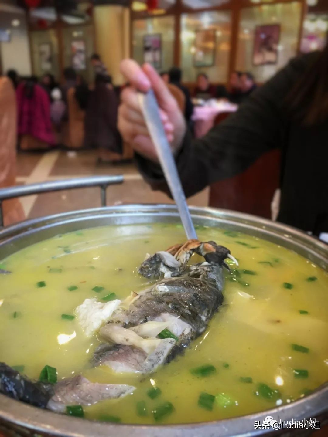 无锡小笼包子有哪些分店,无锡小笼馒头哪家最有名