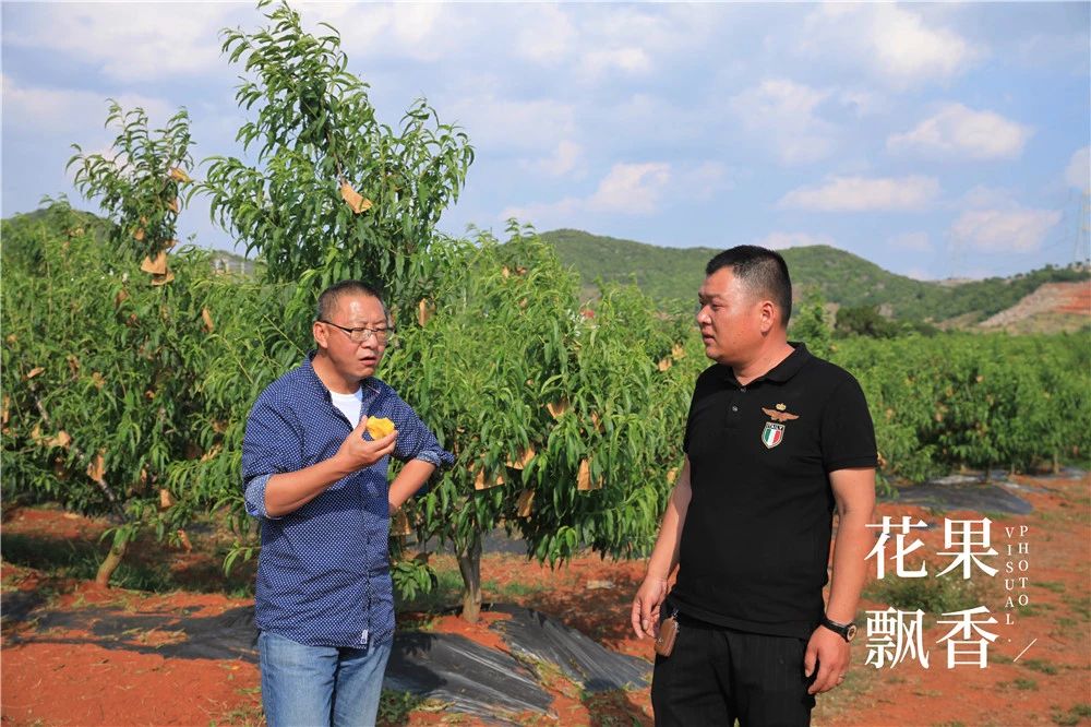 果园防雹网一亩地要多少钱,果园防雹网支架安装尺寸