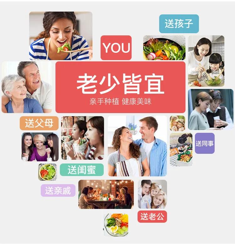 夏季适合做沙拉的蔬菜有哪些,种蔬菜教程阳台