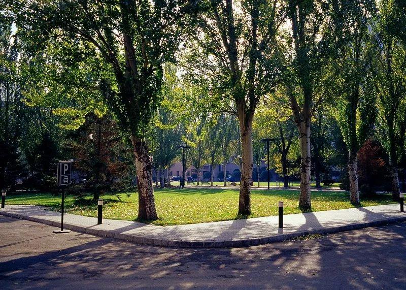 椴佽繀缇庢湳瀛﹂櫌鍏ㄥ浗澶у鎺掑悕澶氬皯,椴佽繀缇庢湳瀛﹂櫌鍦ㄥ叓澶х編闄㈡帓绗嚑