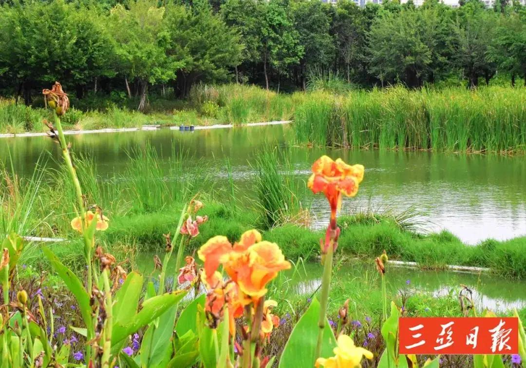 海南三亚最好的公园,三亚这些高颜值拍照圣地美翻了