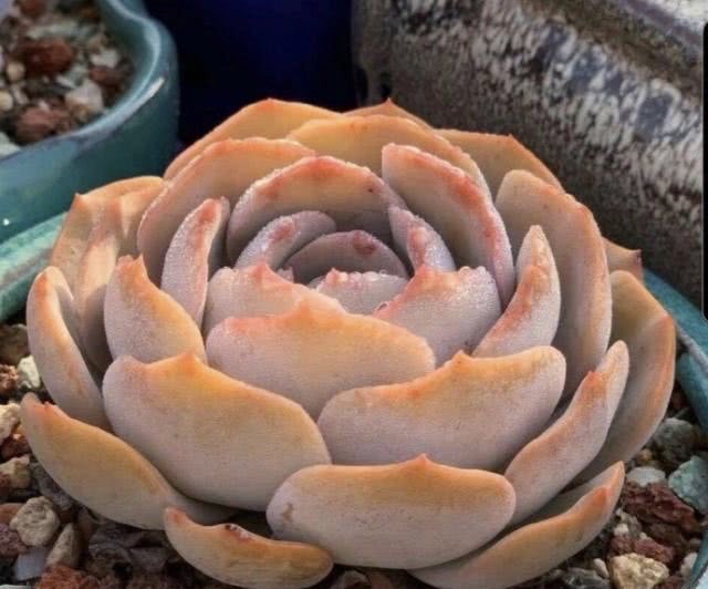 华中科大教授声讨后勤被处分,华中科技大学教授被怼