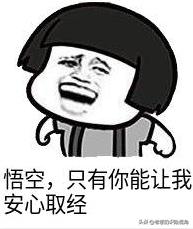 我投保的保险公司会倒闭吗,我投保的保险单丢了有什么方法吗