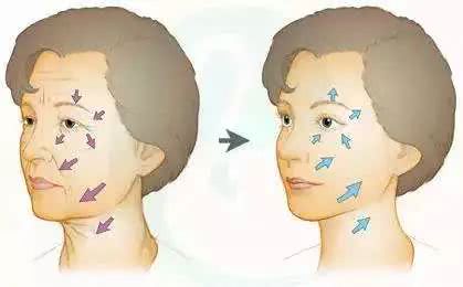 干货分享18篇,干货分享50篇