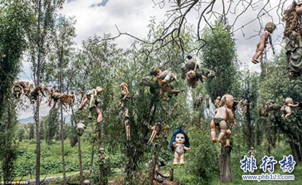 世界上独一无二猪岛,巴哈马群岛猪岛