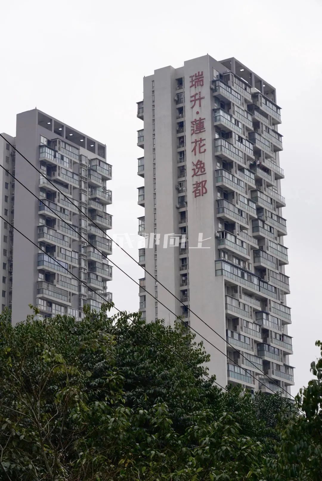 如何让成都变东京？网友：大LOGO收敛点