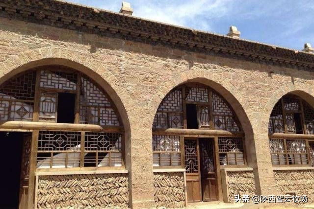 智慧牧业|朱合作:谜语之树