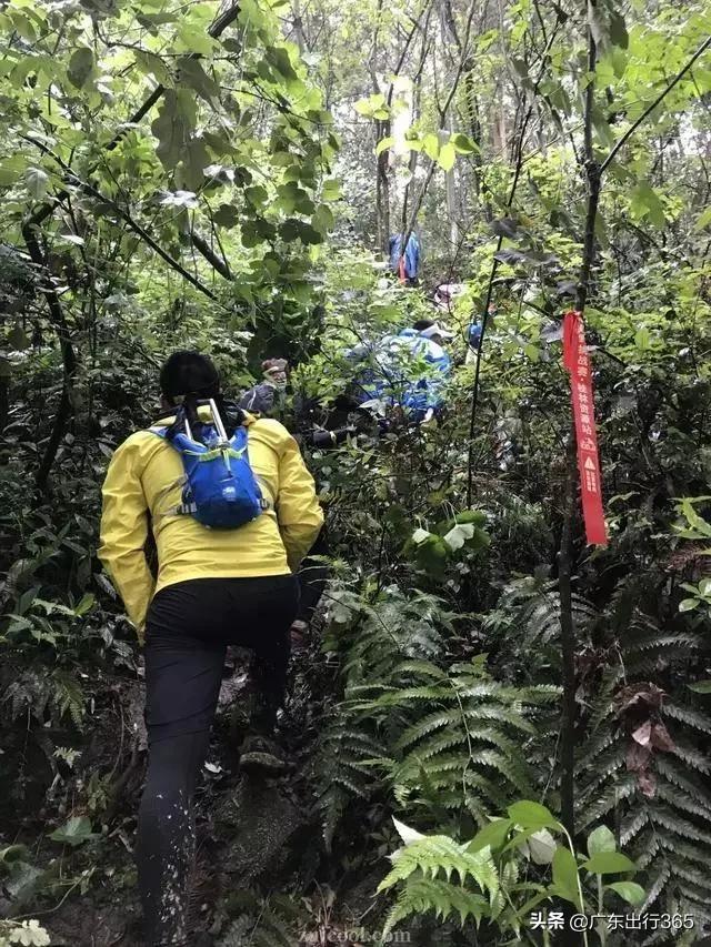 广西桂林汽车场地越野赛,2017桂林越野锦标赛