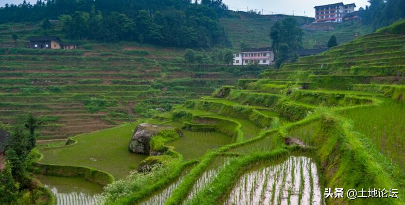 以后农民不种地吃啥,农民种地的出路在哪里