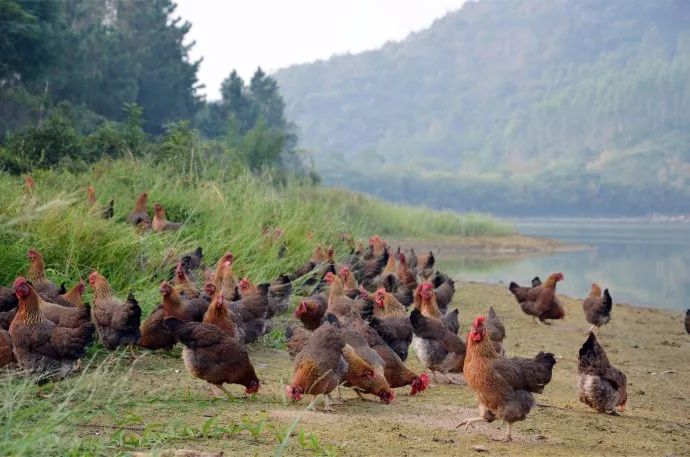 霸屏央视55分钟,霸屏30秒央视