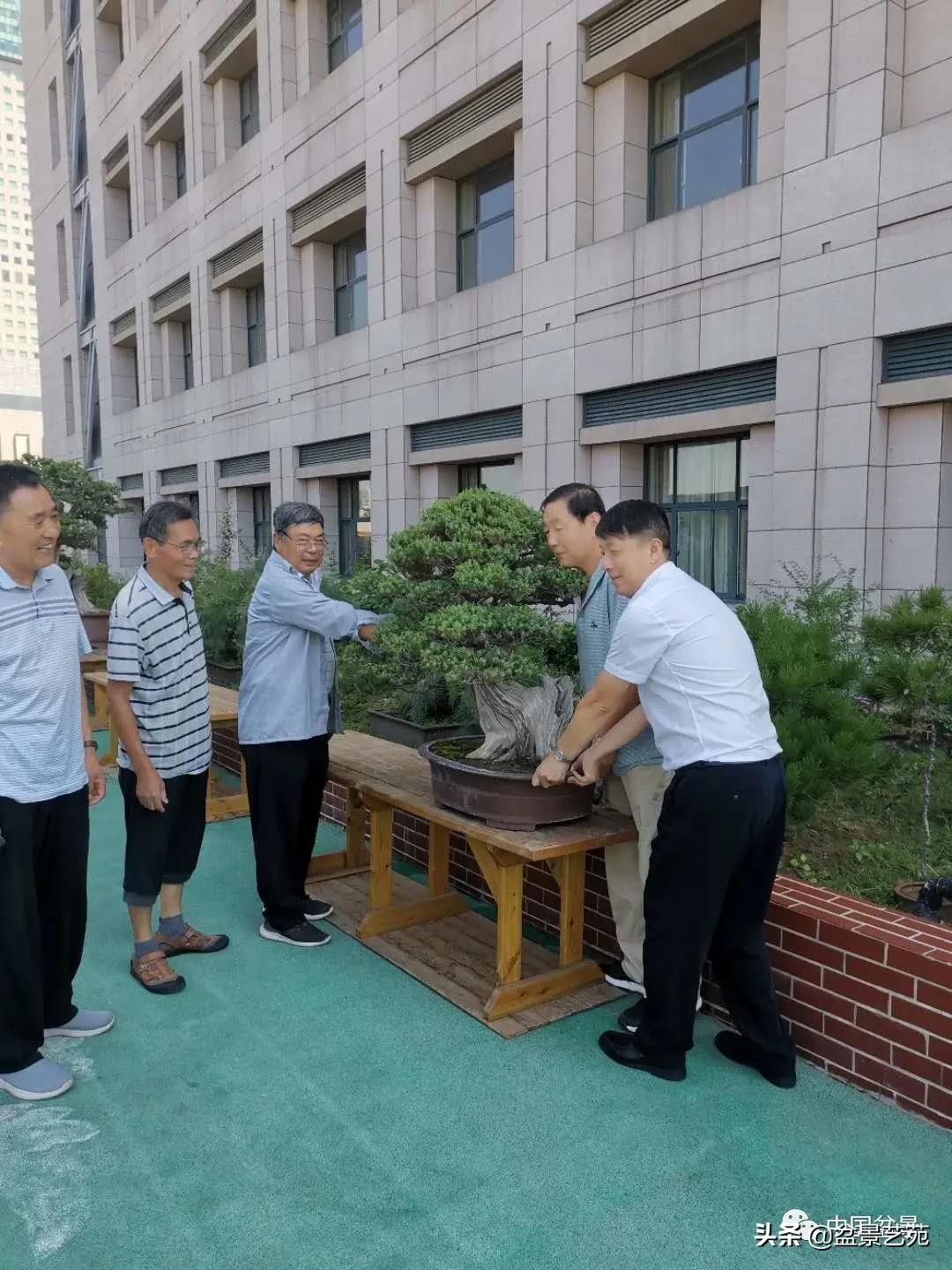 涓浗钁楀悕鐩嗘櫙澶у笀绮惧搧鐩嗘櫙,鐩嗘櫙鑹烘湳瀹跺拰鐩嗘櫙鑹烘湳澶у笀