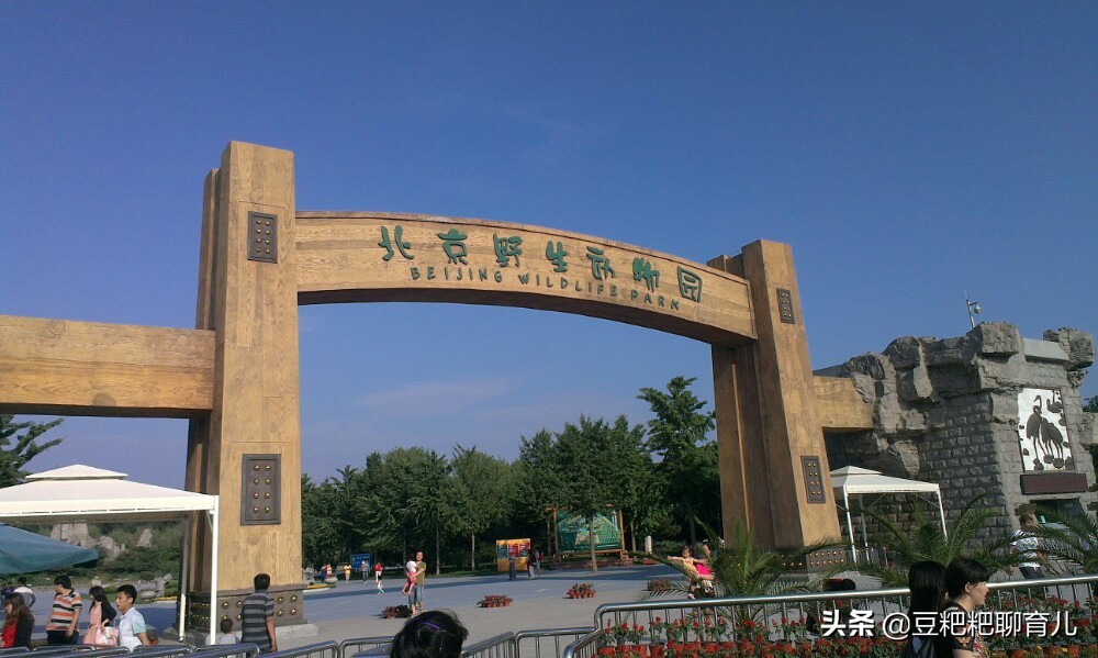 亲子游玩动物园地点推荐,假期亲子去哪玩