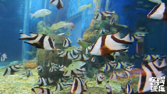 长沙大牌商场,长沙最时尚的商场