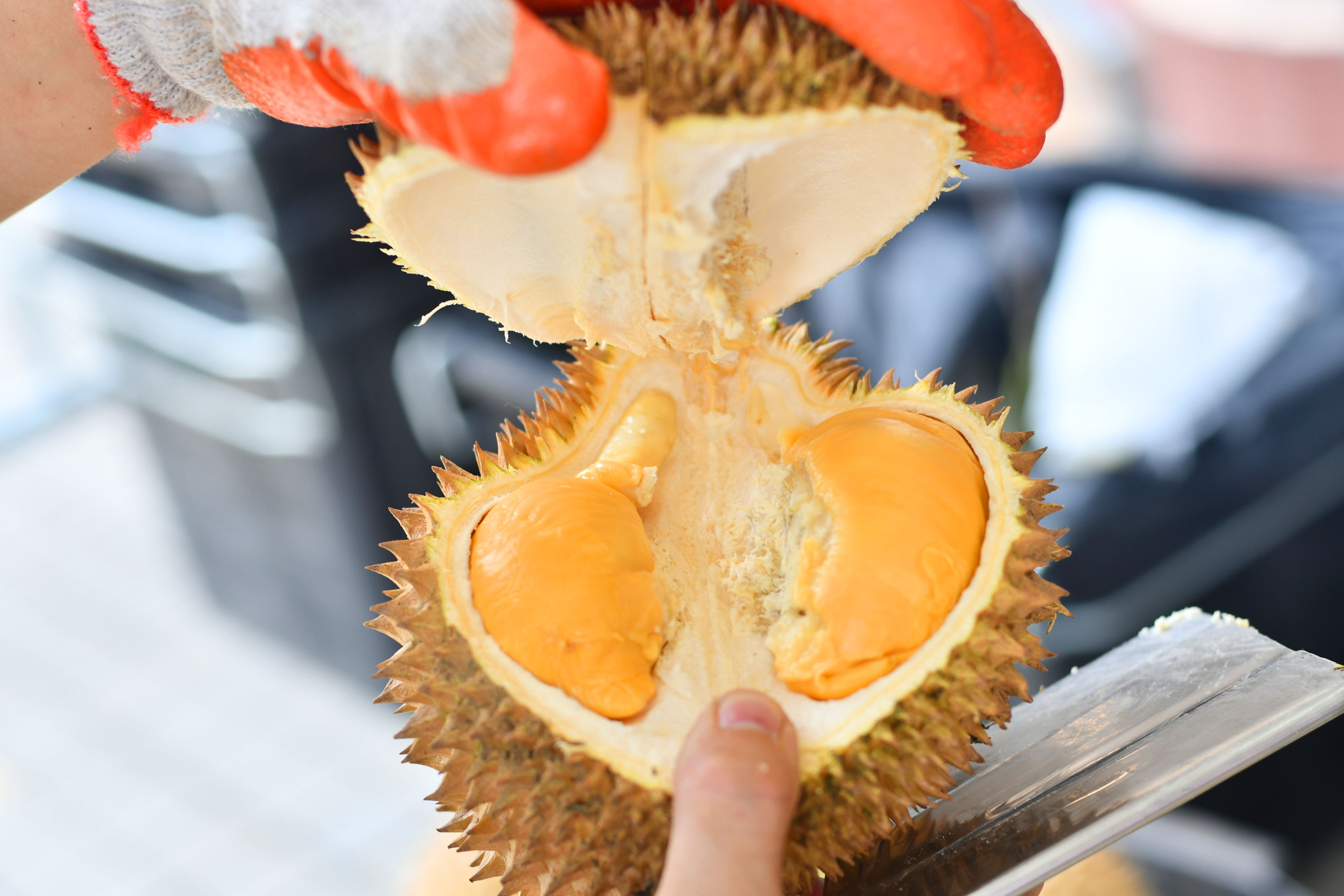 八月榴莲正当时，1Utama商场邀你参加DurianKawKaw榴莲美食派对