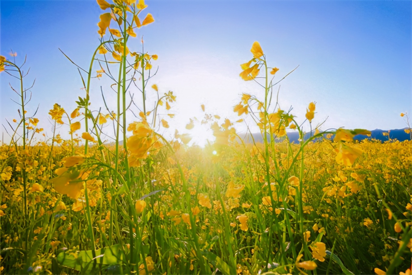 青甘大环线吃住行攻略,青甘环线自助游路线图