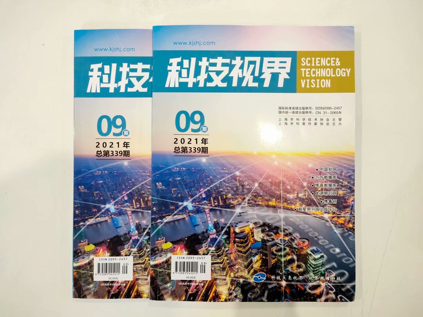 涓浗绉戞妧璁哄潧鏈熷垔鎶曠瑕佹眰,绉戞妧瑙嗙晫鏈熷垔