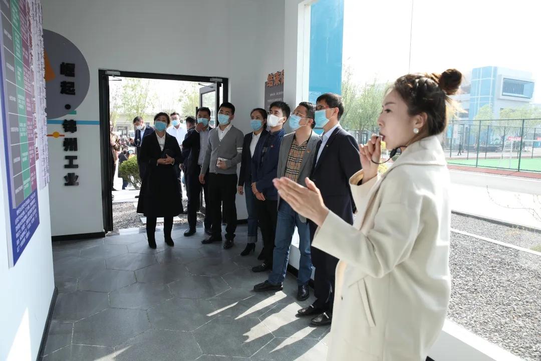 辽宁共青团五四活动,共青团区委举办的活动