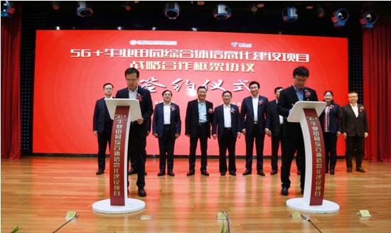 牛也要出圈（quān）？这个电信高定耳饰不简单