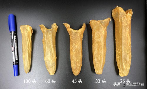 初次接触鱼胶怎么选,买鱼胶要注意什么