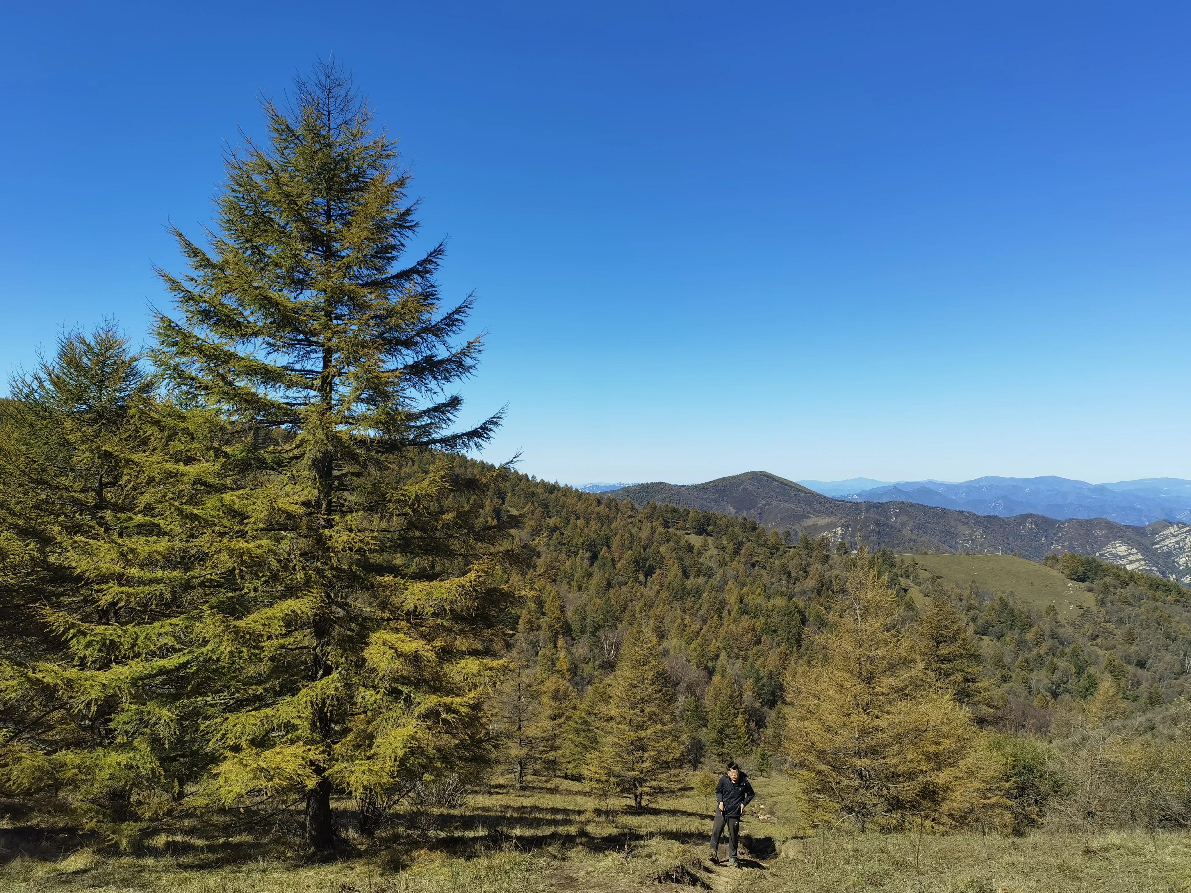 都知夏日驼梁美，秋季呢？阜平花塔村进山带您领略最美的秋日驼梁