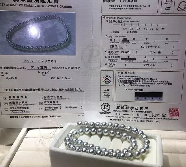 日本矮珍珠和日本珍珠一样的吗,同样是珍珠为什么有的贵