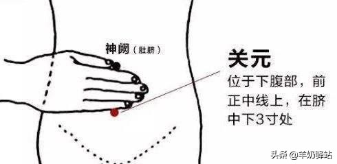 人体十大养生穴位，常按想生病都难