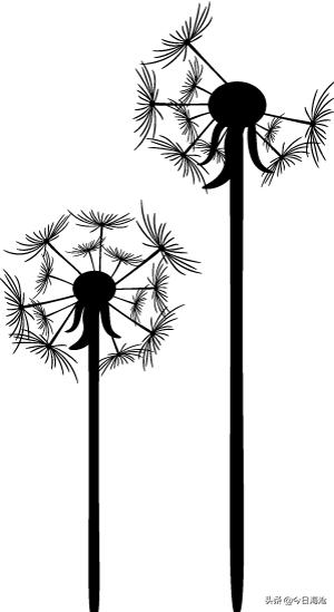 厦门海沧中学高一新生录取名单,厦门海沧区高中学习方法指导